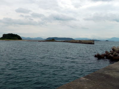 海水