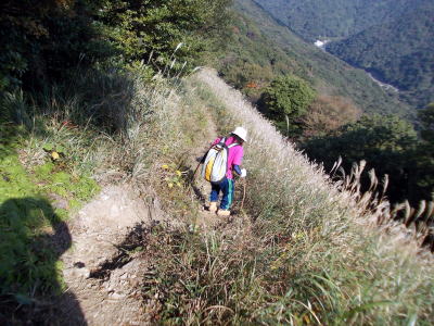 縦走路
