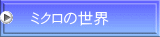 ~N̐E