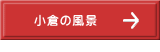 q̕i  